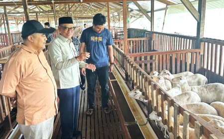 Peternak Muda Tegal Kembangkan Peternakan Modern, Abdul Fikri Faqih Beri Apresiasi