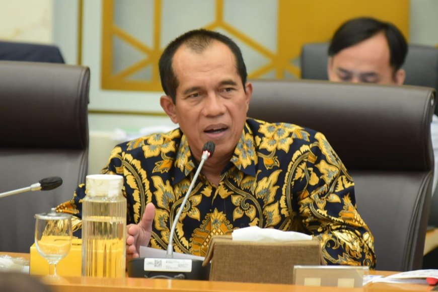 Komisi IV DPR Apresiasi Klaim Swasembada Pangan 2025