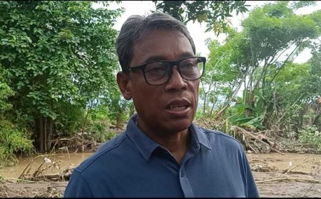 Kariyasa Tinjau Lokasi Banjir Bandang di Desa Banjar, Ajak Semua Pihak Tingkatkan Kesiapsiagaan Bencana