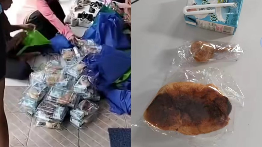 Wali Murid TK di Trenggalek Kembalikan Menu MBG, Soroti Kualitas Makanan dari SPPG